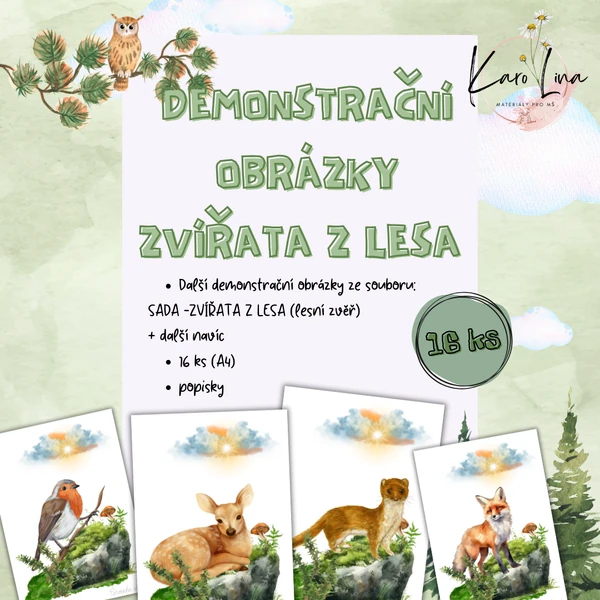 DEMONSTRAČNÍ OBRÁZKY - ZVÍŘATA Z LESA (lesní zvěř)