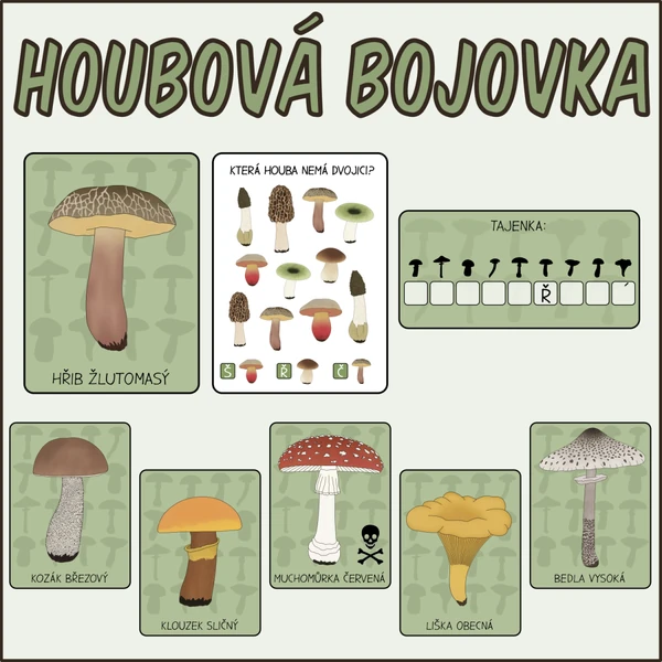 Houby - Bojovka