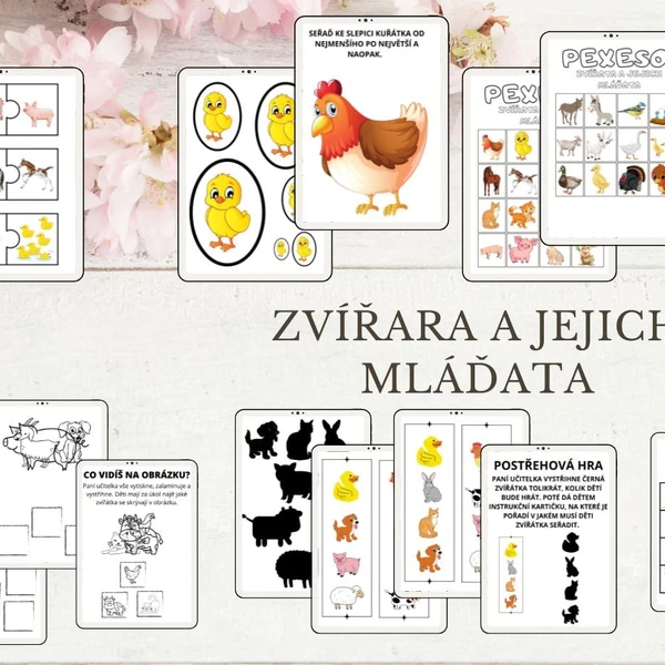 Zvířata a jejich mláďata