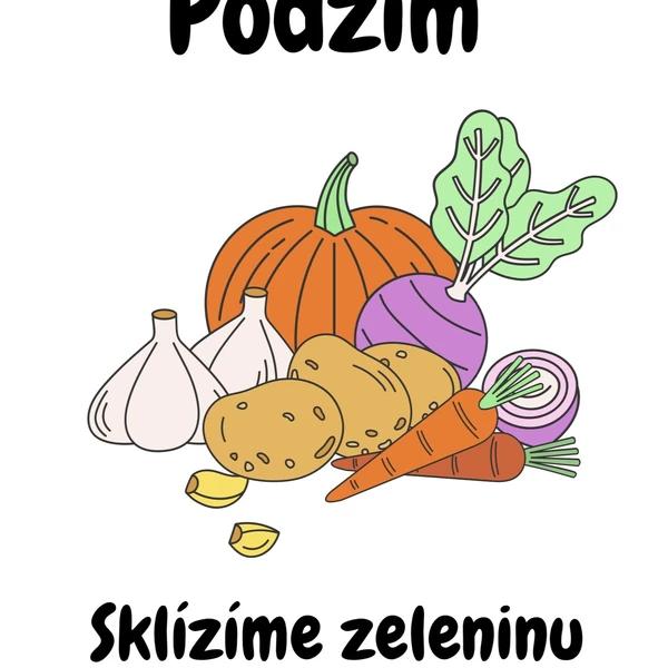 Podzimní zelenina - výukové materiály