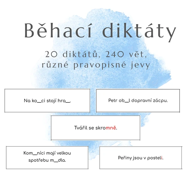 20x běhací diktát (240 vět)