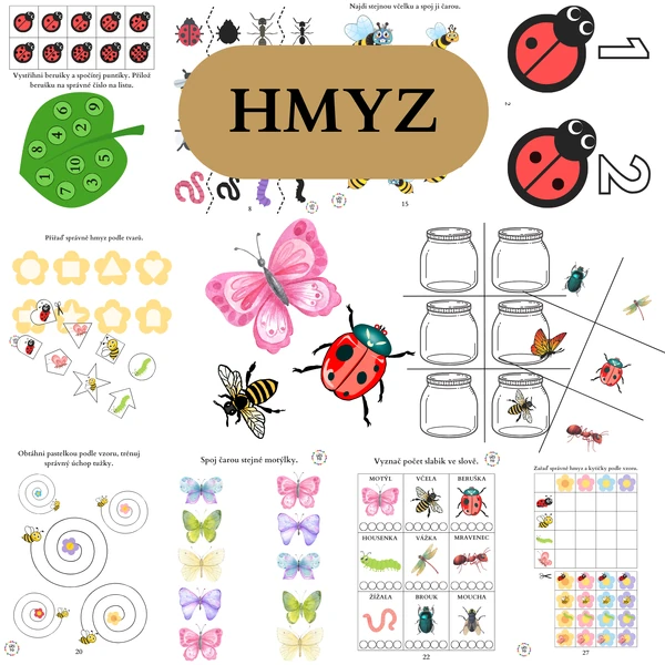 Hmyz
