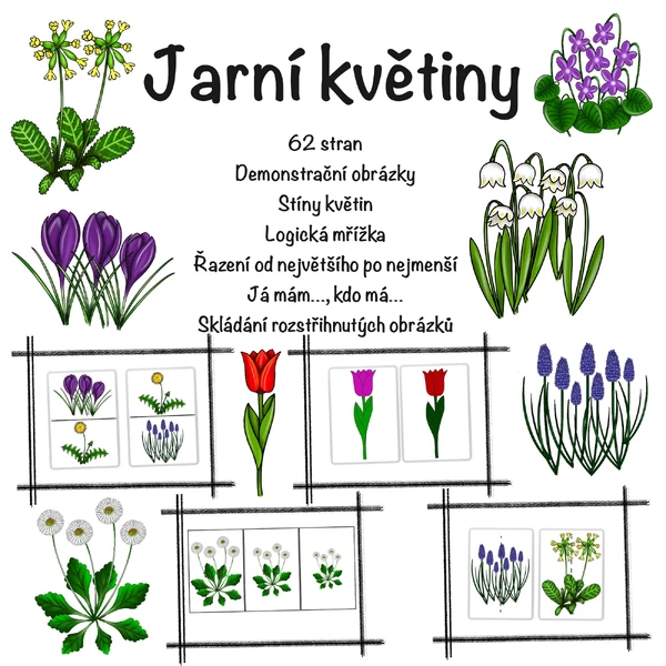 Jarní květiny