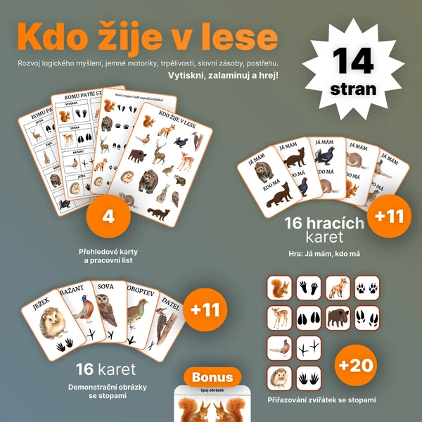 Kdo žije v lese