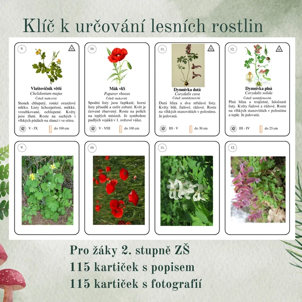 Klíč k určování lesních rostlin