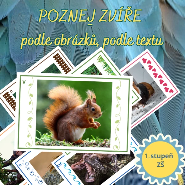 Poznej ZVÍŘATA Z LESA- podle obrázků, podle textu
