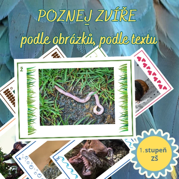 Poznej ZVÍŘATA ŽIJÍCÍ NA LOUCE - podle obrázků, podle textu
