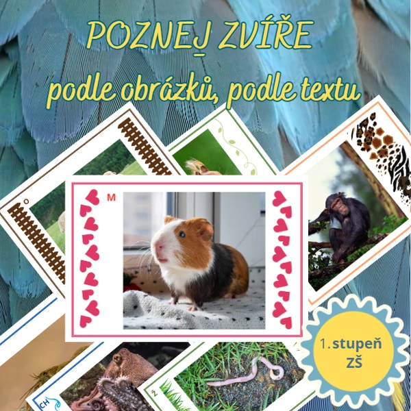 Poznej MAZLÍČKY - podle obrázků, podle textu