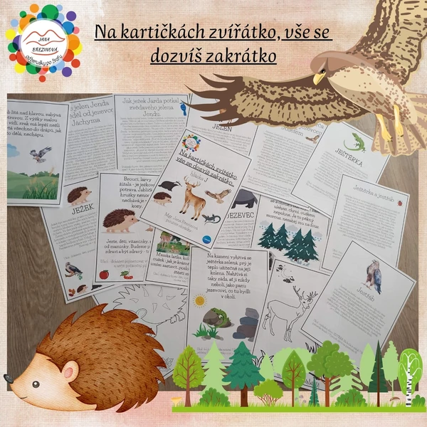 Na kartičkách zvířátko, vše se dozvíš zakrátko