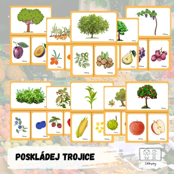 Trojice podzimních plodů
