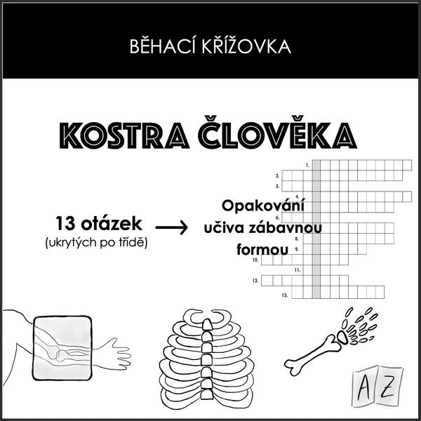 Běhací křížovka - kostra člověka