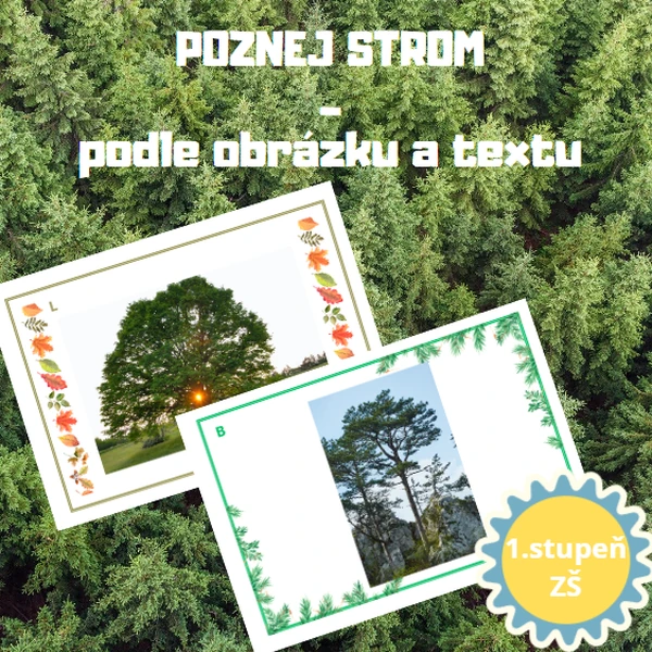 Poznej STROMY - podle obrázků, podle textu