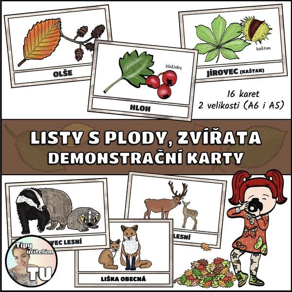 Listy, plody, zvířata - podzim (demonstrační karty)