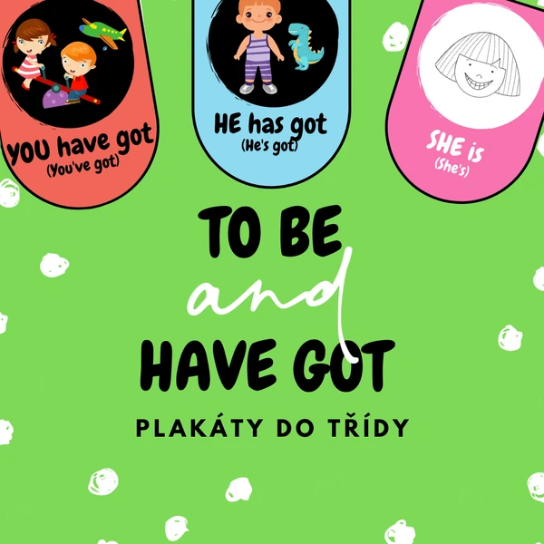 TO BE and HAVE GOT