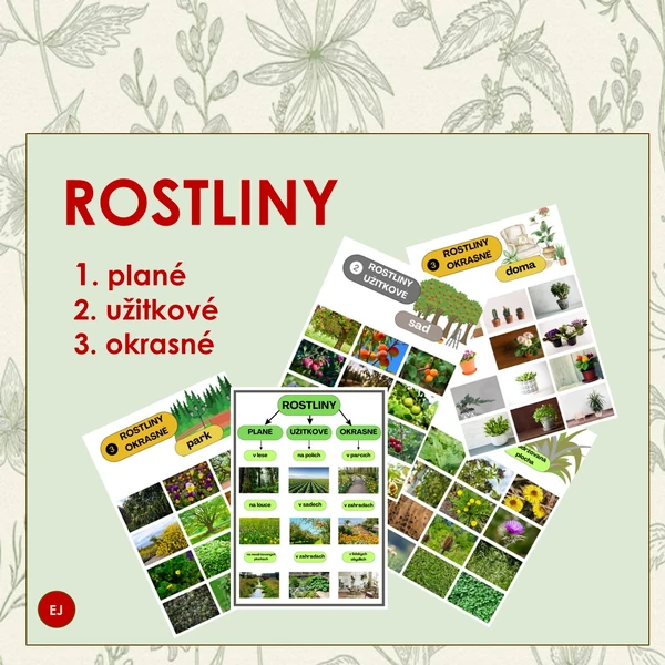 Rostliny - plané, užitkové, okrasné