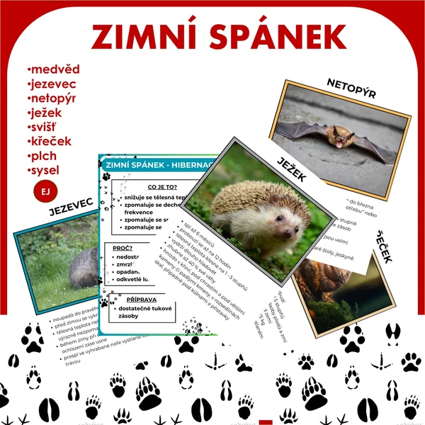 Zimní spánek