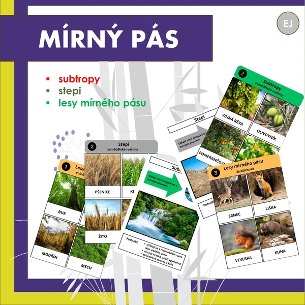 Mírný pás