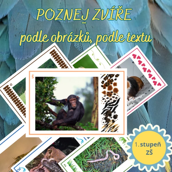 Poznej ZVÍŘATA ZE ZOO - podle obrázků, podle textu