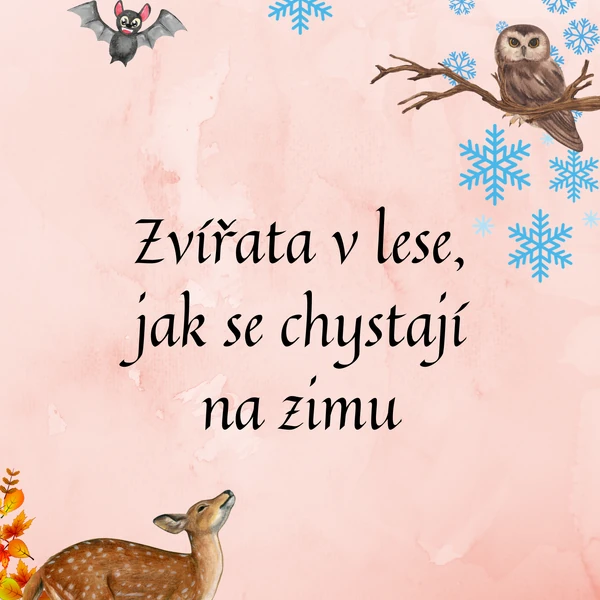 Zvířata v lese, jak se chystají na zimu