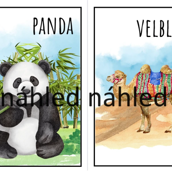 Exotická zvířátka, zvířátka ze ZOO, učební pomůcka, obrázkový materiál na tabuli, kolíčkování