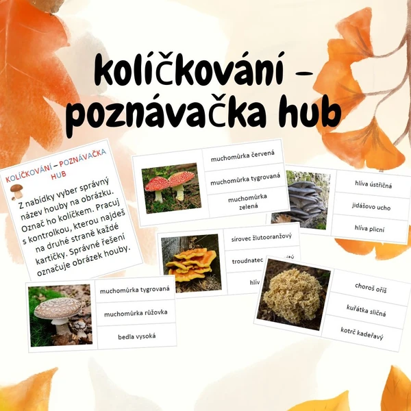 kolíčkování - poznávačka hub