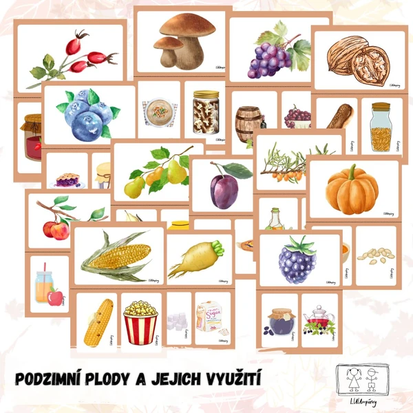 Podzimní plody a jejich využití