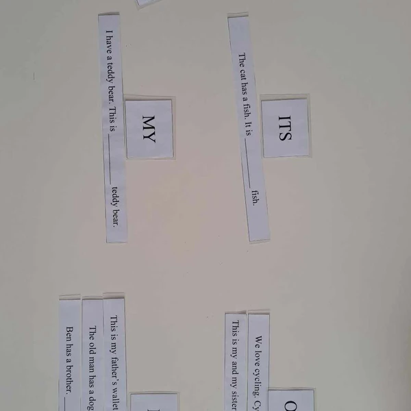 Possessive adjectives / Přivlastňovací zájmena
