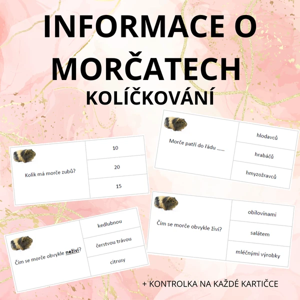Informace o morčatech - kolíčkování