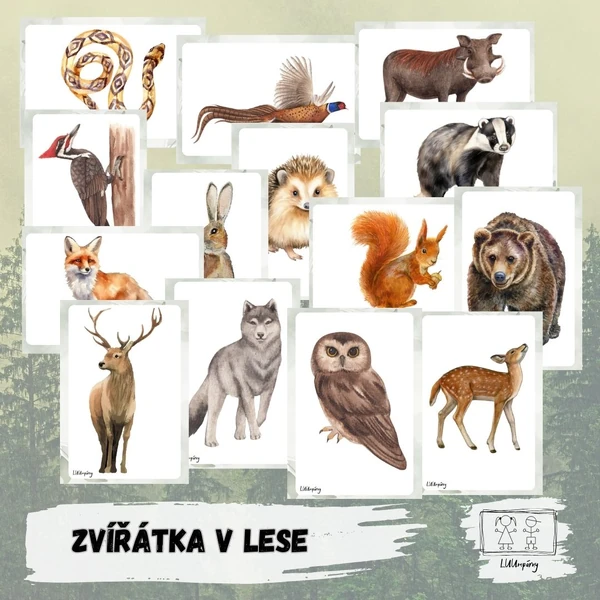 Zvířátka v lese
