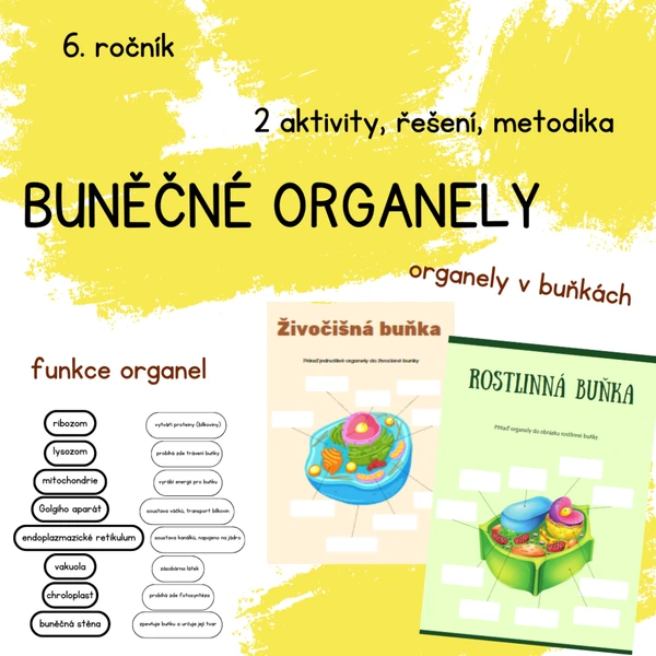 BUŇKA a organely (rostlinná a živočišná) - přiřazování do obrázku, funkce
