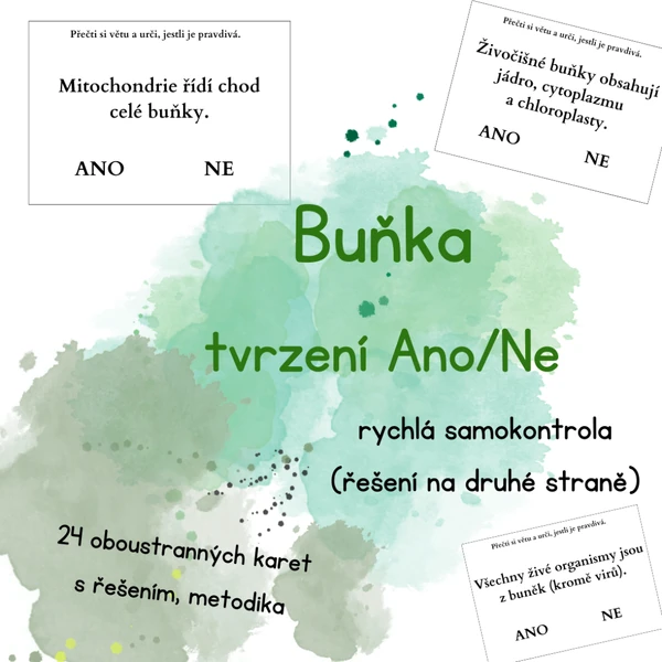 BUŇKA - tvrzení (ano/ne) - samostatná kontrola