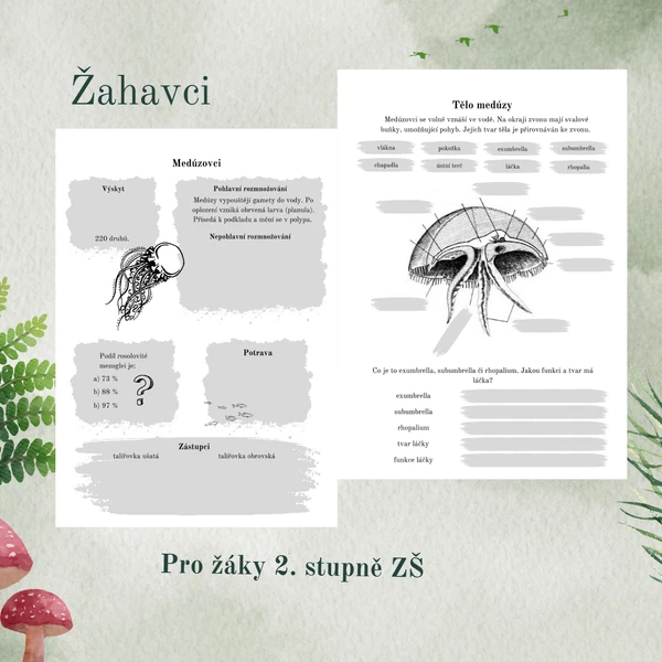 Žahavci