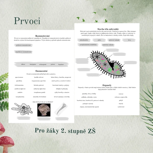 Prvoci