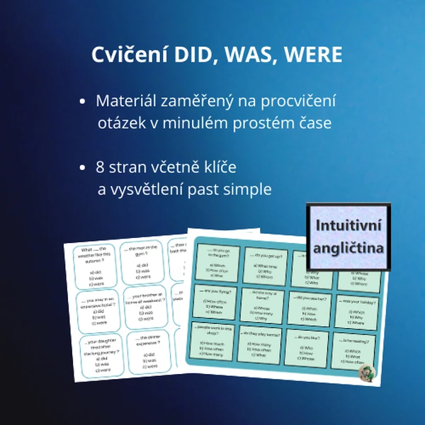 Cvičení DID, WAS, WERE 