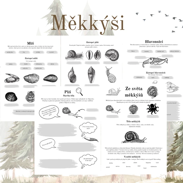 Měkkýši