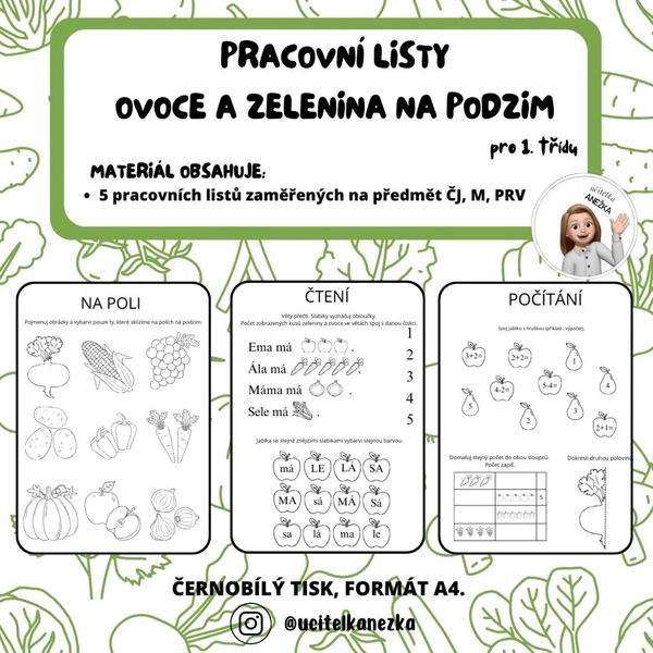 OVOCE A ZELENINA NA PODZIM - pracovní listy