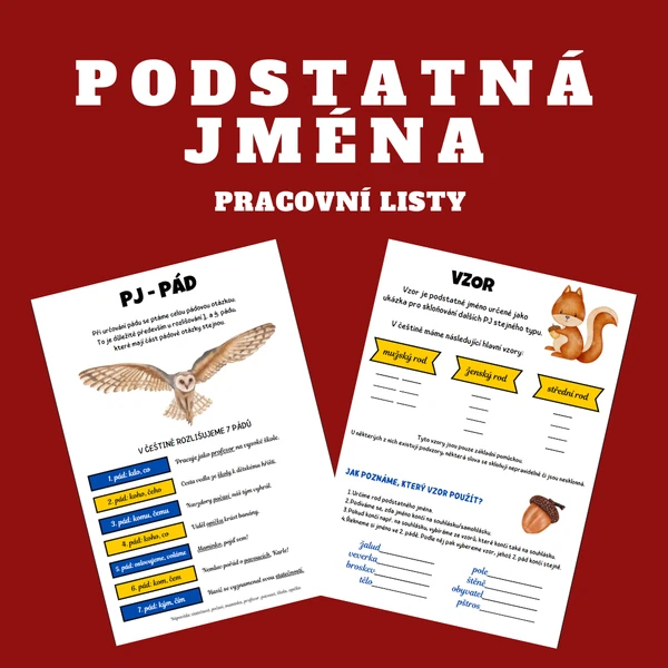 Podstatná jména - teorie i procvičování