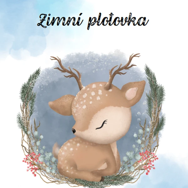 Zimní plotovka