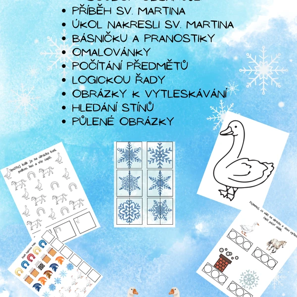 Svatomartinské učení