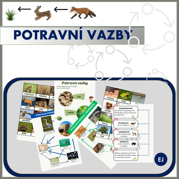 Potravní vazby