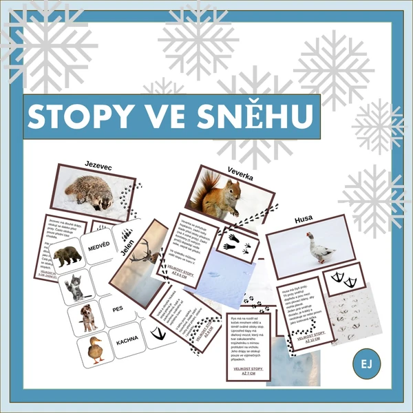 Stopy ve sněhu