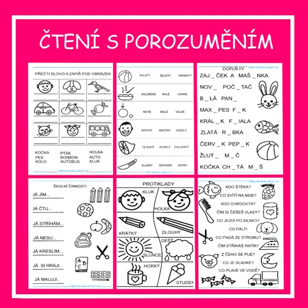 Čtení s porozuměním