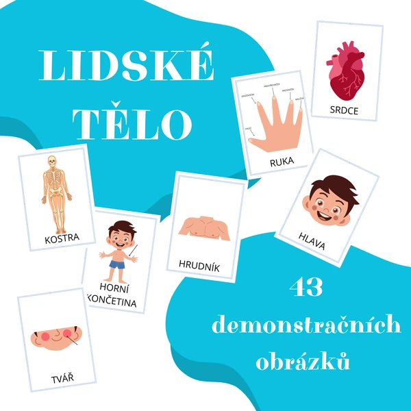 LIDSKÉ TĚLO - demonstrační obrázky
