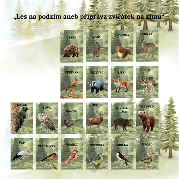 Les na podzim aneb příprava zvířátek na zimu