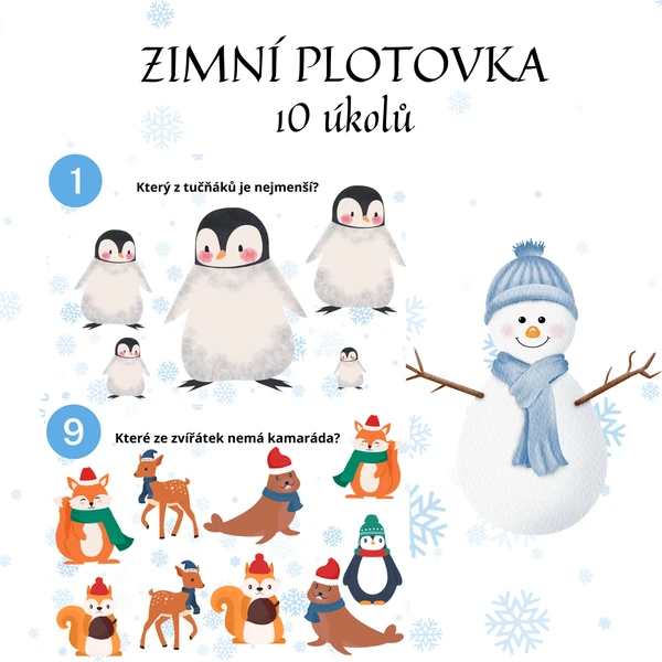 Zimní plotovka