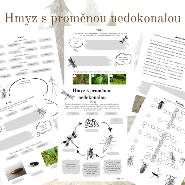 Hmyz s proměnou nedokonalou