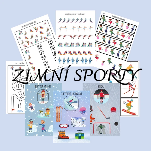 Zimní sporty