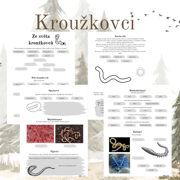 Kroužkovci