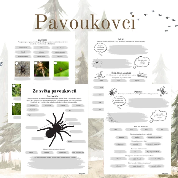 Pavoukovci