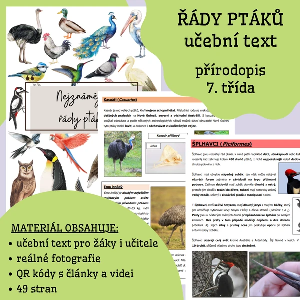 Řády ptáků - učební text